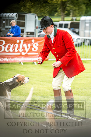 Lowther Hound Show 2017-32