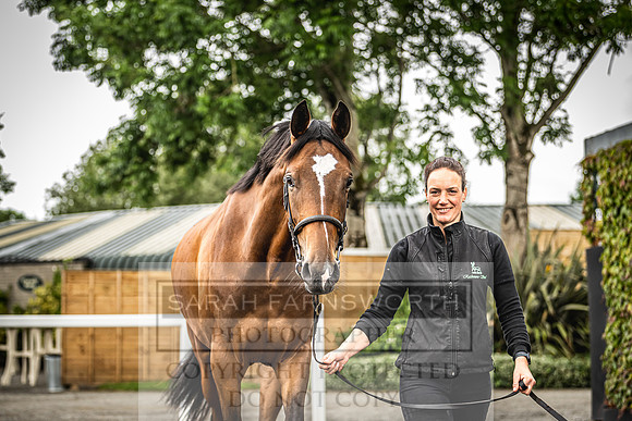 Goffs Land Rover Sale 2022-550