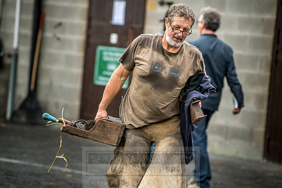 Goffs Orby 2018 Day 2-43