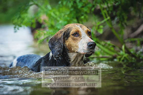 Desmond 040616-171