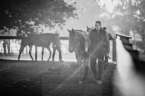Goffs Orby 2015 -474 bw