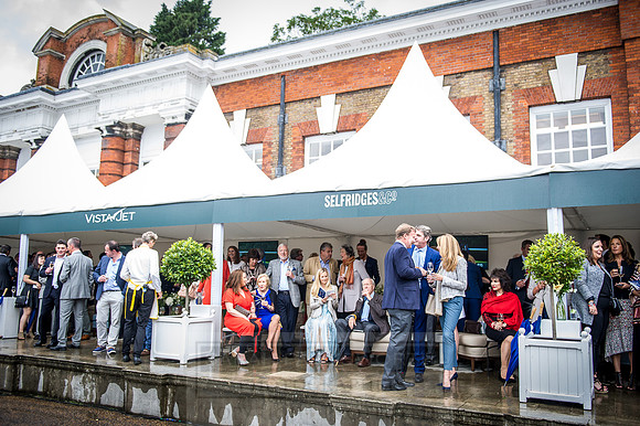 Goffs London Sale 2016-265