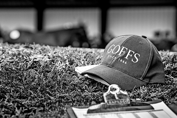 Goffs Orby 2018 Day 2-139