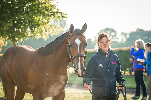 Goffs Orby 2015 -181