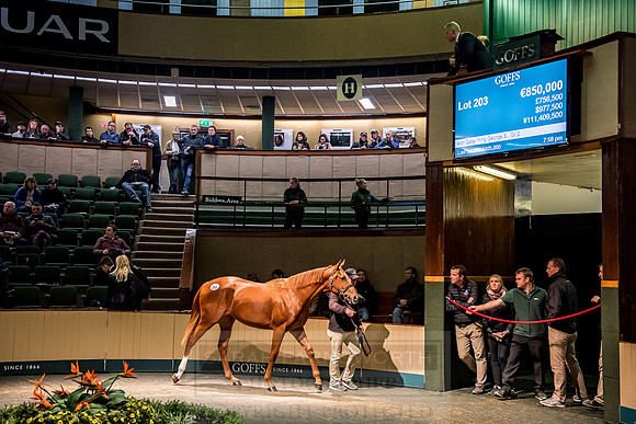 Goffs Orby 2018 Day 1-440