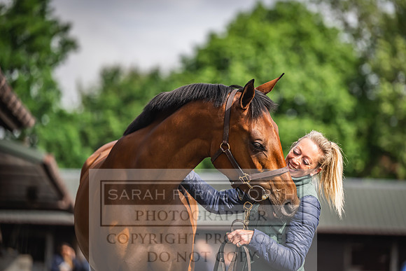 Goffs UK Spring Sale 2024-30