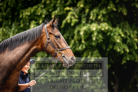 Goffs Land Rover Sale 2022-229