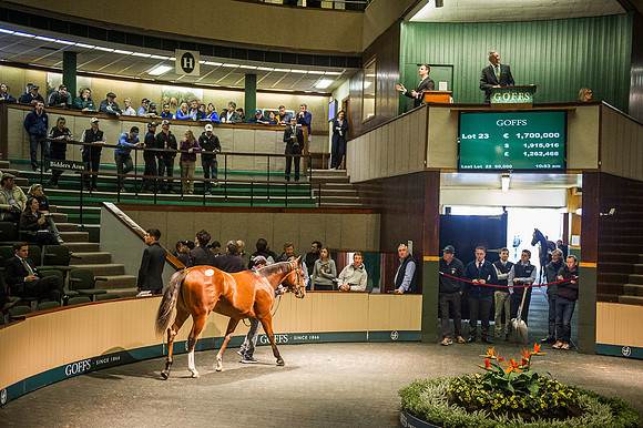 Goffs Orby 2015 -250
