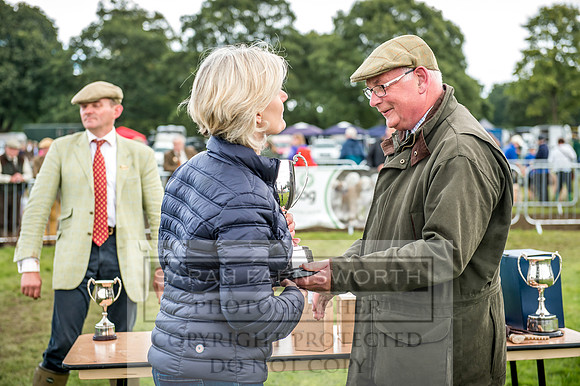 Lowther Hound Show 2017-157