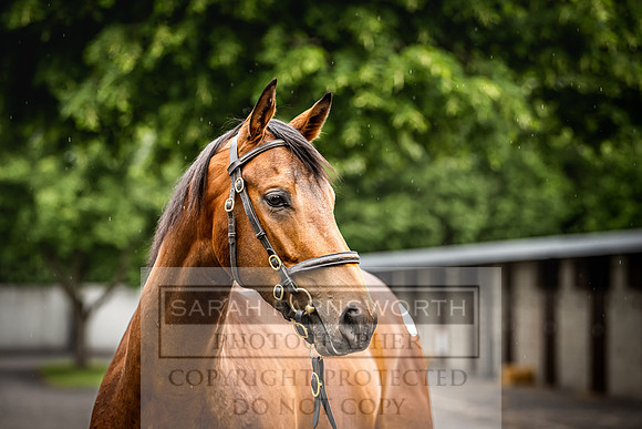 Goffs Land Rover Sale 2022-473
