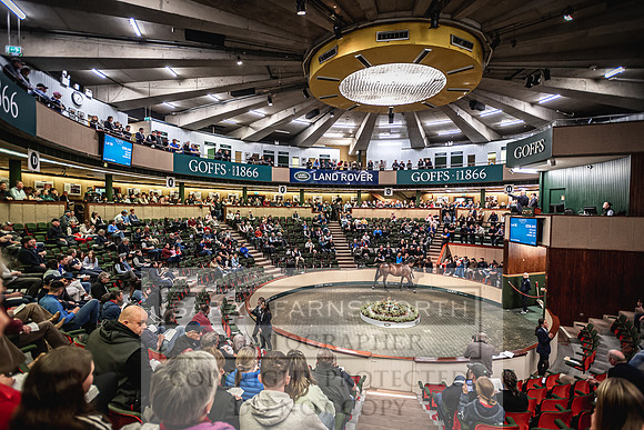 Goffs Land Rover Sale 2022-291