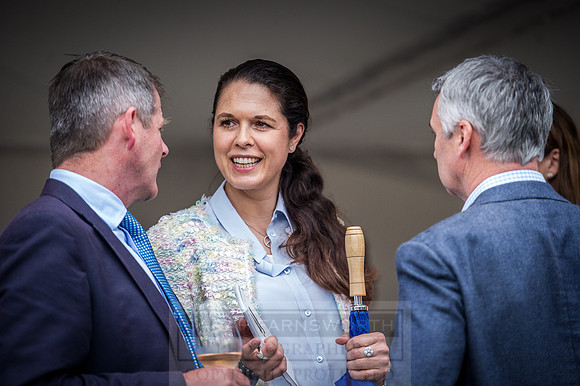 Goffs London Sale 2016-435
