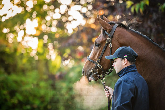 Goffs Orby 2015 -127