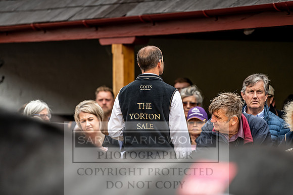 GUK Yorton Sale 2019-314
