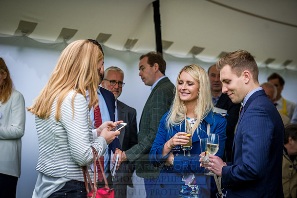Goffs London Sale 2016-284