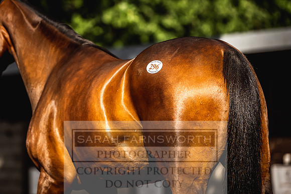 Goffs Land Rover Sale 2022-134