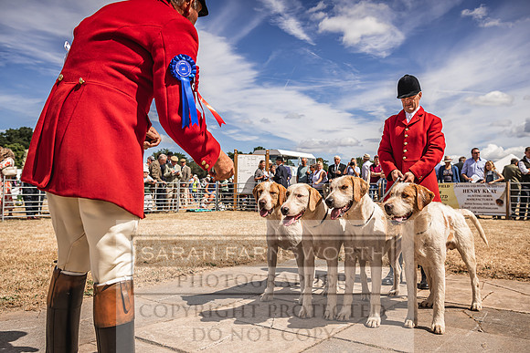 Honiton Hound Show 2022-113