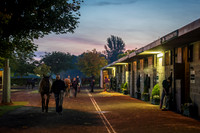 Goffs Orby 2015 -3