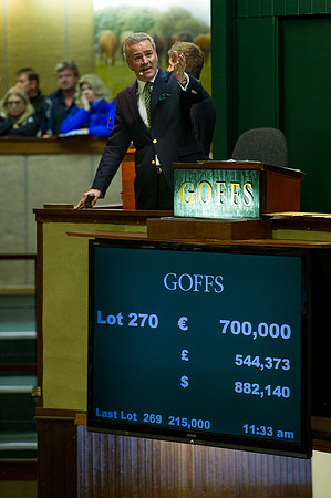 Goffs Orby14 CF10 179