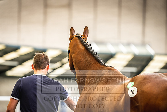 Goffs Land Rover Sale 2022-181