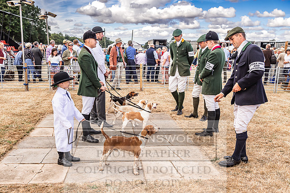 Honiton Hound Show 2022-53