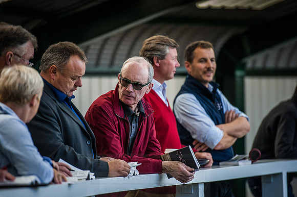 Goffs Orby 2015 -588