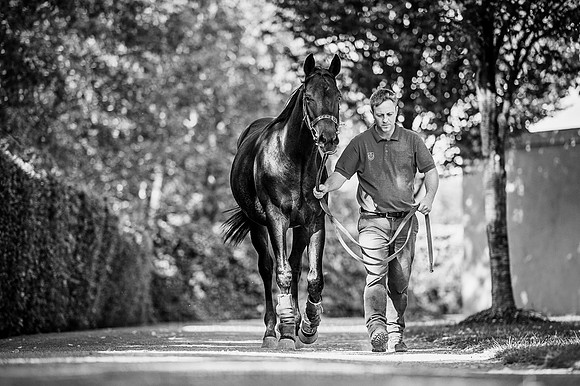 Goffs Orby 2015 -383 bw