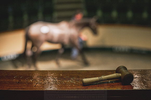 Goffs Orby 2015 -564