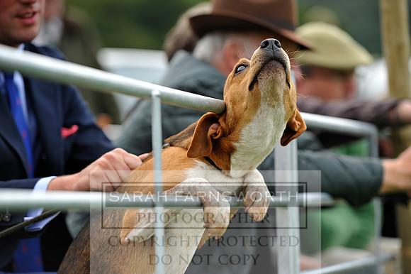 Rydal 2014 CF2 805
