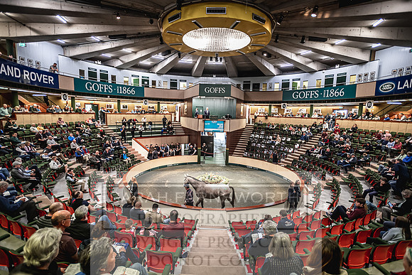 Goffs Land Rover Sale 2022-281