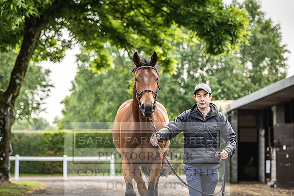 Goffs Land Rover Sale 2022-24