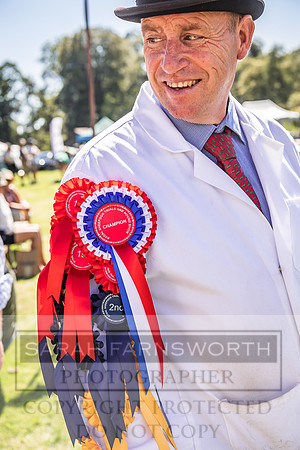 Rydal Hound Show 2022-148