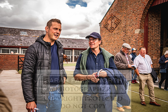 Goffs Yorton Sale 2022-217