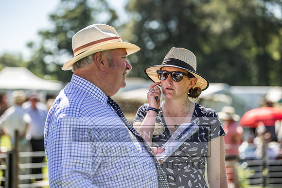Rydal Hound Show 2022-70