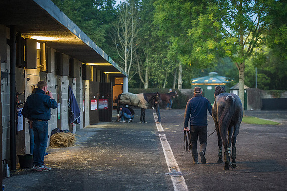 Goffs Orby 2015 -34