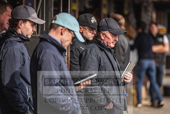 Goffs UK Spring Sale 2024-41
