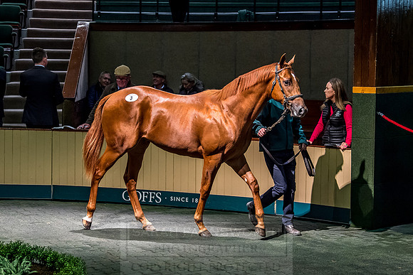 Goffs Orby 2018 Day 1-151