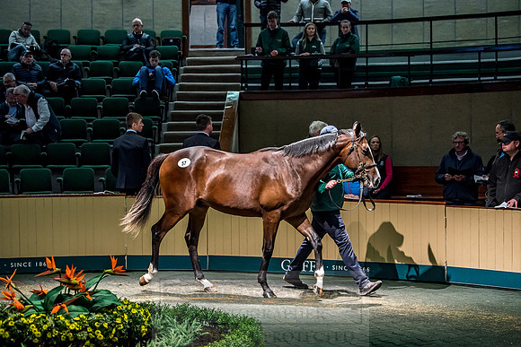 Goffs Orby 2018 Day 1-251