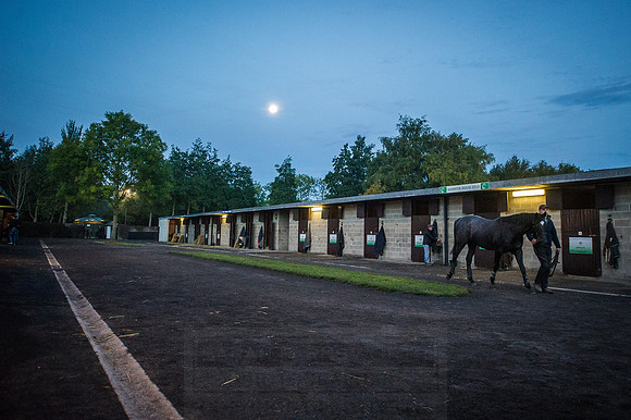 Goffs Orby 2015 -36
