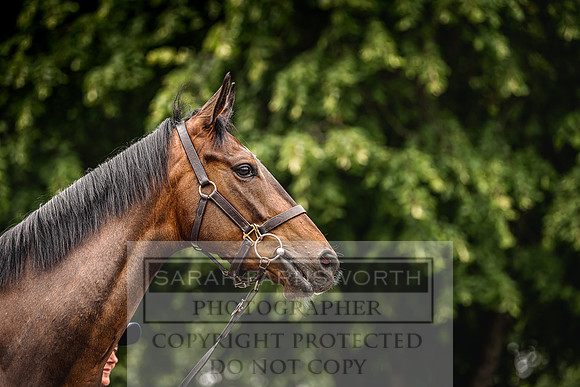 Goffs Land Rover Sale 2022-228