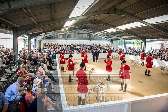 PFoH 2016-598