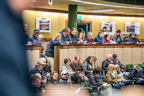 Goffs Orby 2018 Day 1-225