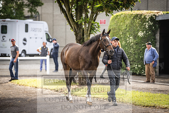 Goffs Land Rover Sale 2022-79