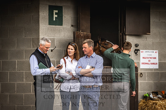 Goffs Land Rover Sale 2022-307