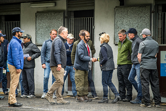 Goffs Orby 2018 Day 1-230