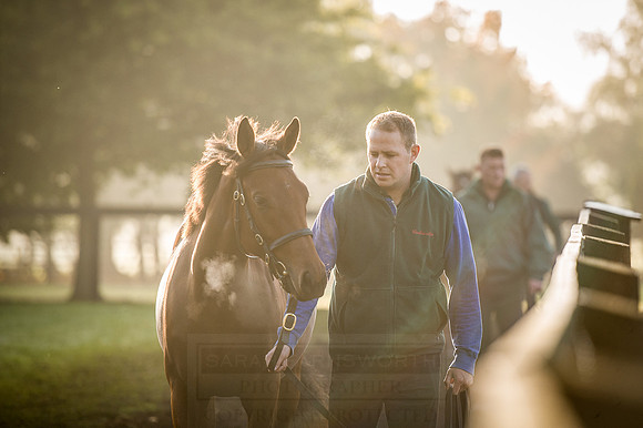 Goffs Orby 2015 -470
