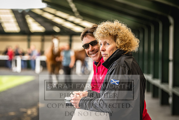 Goffs Land Rover Sale 2022-178