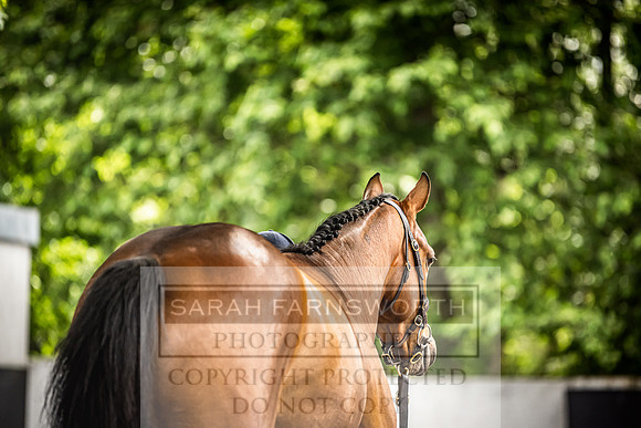Goffs Land Rover Sale 2022-364