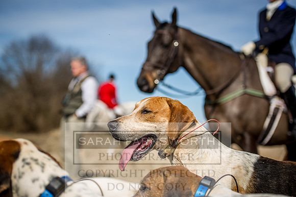Mooreland Hunt-106