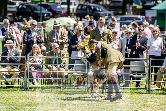 Builth Hound Show 2019-116